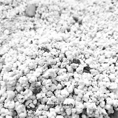 Casa Tasya Centre Apartamento