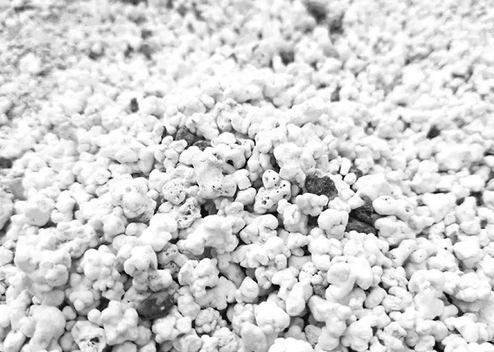 Casa Tasya Centre Apartmán